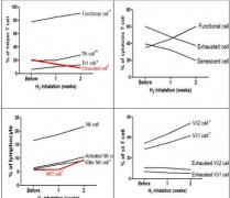 氢气健康学——氢对免疫力的调节作用