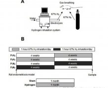 新进展：氢气作用于子宫内膜异位症