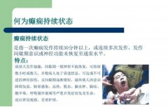 氢气对难治性癫痫持续状态的治疗作用及机制研究
