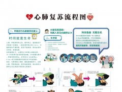氢气改善心脏骤停/心肺复苏后大鼠心、脑损伤的作用及机制研究