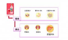 富氢水对乙醇诱导的胃损伤和肝损伤的保护作用与机制