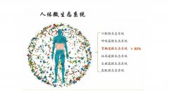 富氢水调控肠道菌群在化疗药所致病理性神经疼痛中的作用研究