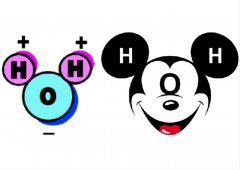 探索水分子的奇妙世界：氢键的日常魔法