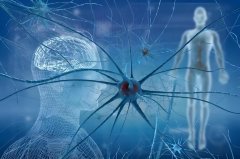 氢分子的三大特性和四大生物学作用