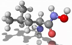 氢气+干细胞：强强联合，开启新篇章