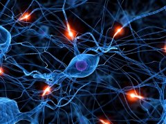 丁文江院士：氢对人类甚至整个生物界起到非常积极的生物学作用