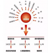 多少伤痛多少愁，氢力泉氢水杯都带走