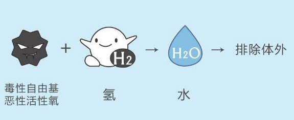 氢水