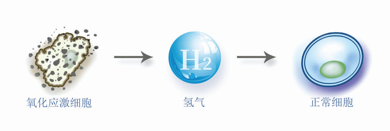 氢分子