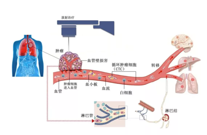 徐克成：癌症改善的反思与探索