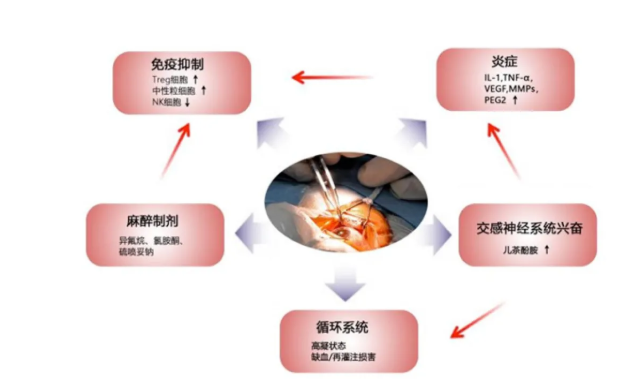 徐克成：癌症改善的反思与探索