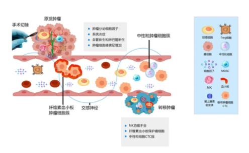 徐克成：癌症改善的反思与探索