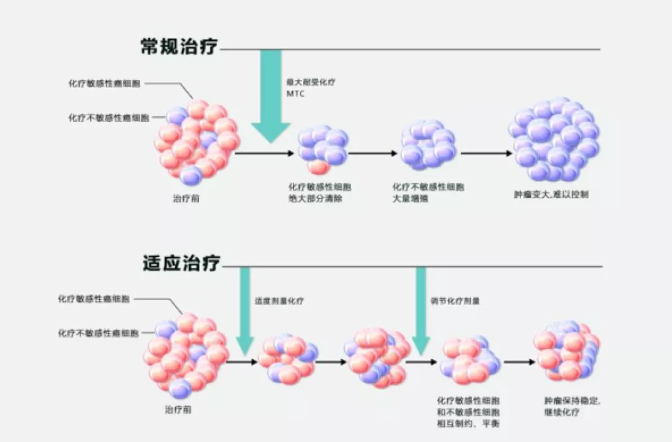 徐克成：癌症改善的反思与探索