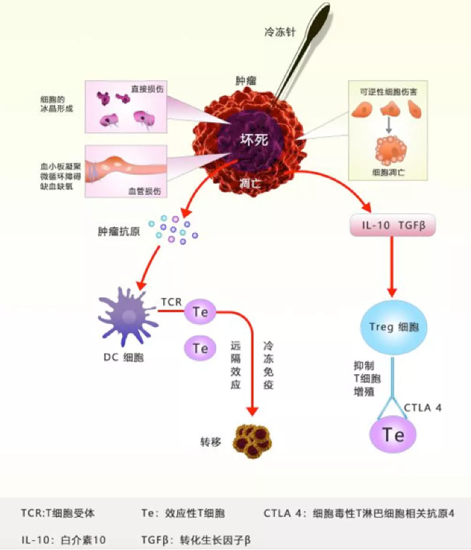 徐克成：癌症改善的反思与探索