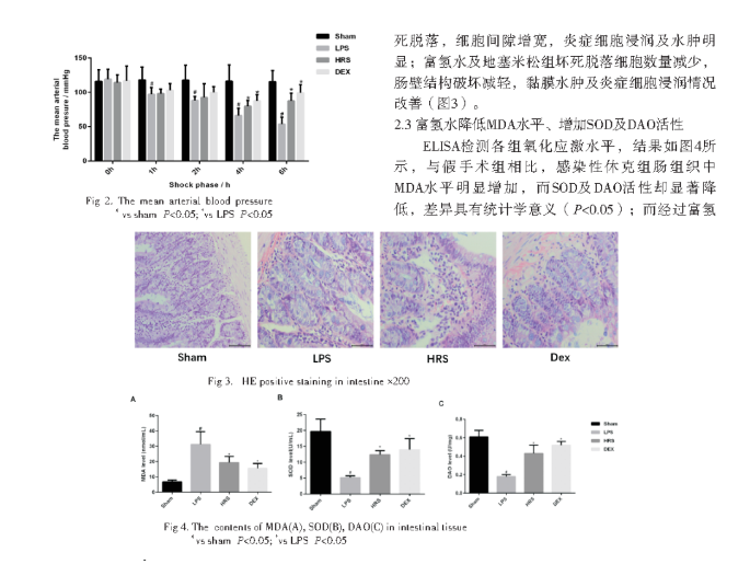 富氢水对感染性休克大鼠肠损伤