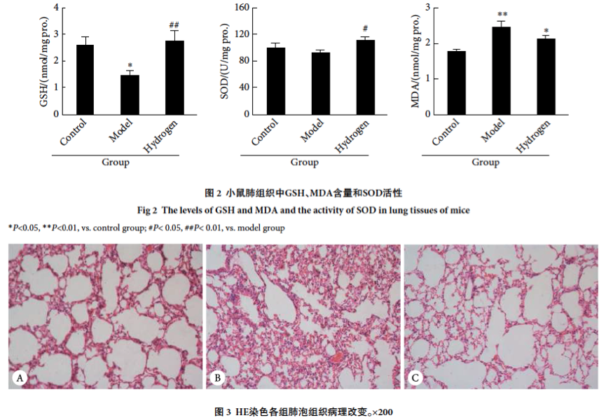 低浓度氢气对小鼠哮喘和睡眠功能的影响