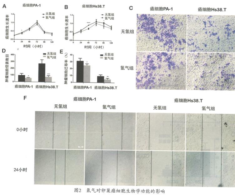 氢气抑制卵巢癌的实验研究，氢气能抑制肿瘤细胞的侵袭和迁移