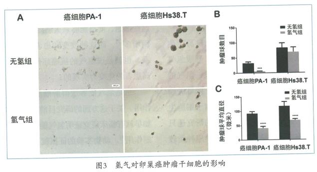 氢气抑制卵巢癌的实验研究，氢气能抑制肿瘤细胞的侵袭和迁移