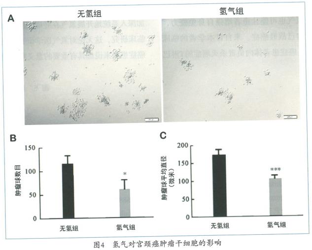 氢气抑制卵巢癌的实验研究，氢气能抑制肿瘤细胞的侵袭和迁移