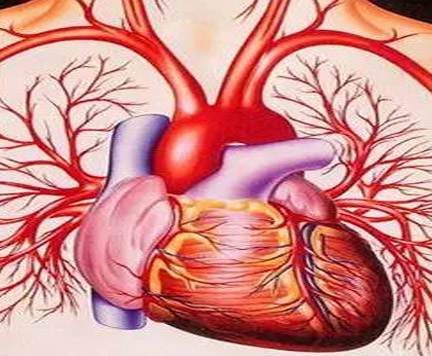 心血管系统疾病的预防性改善