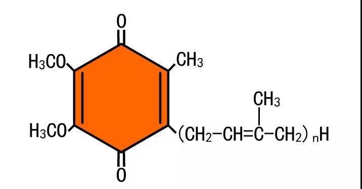 复合物I极化分解氢气的可能机制