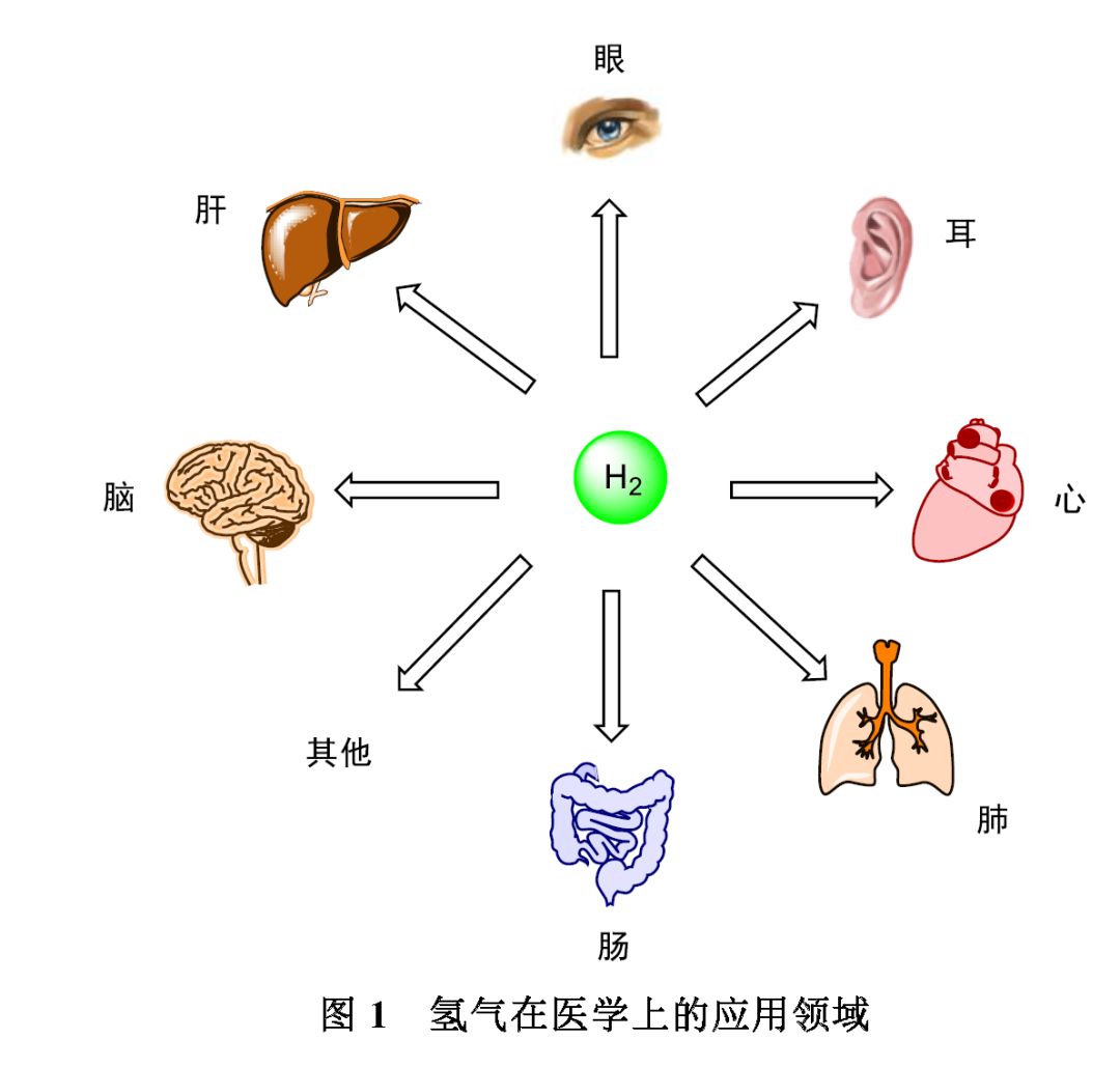 氢气身材小，氢气能量大！