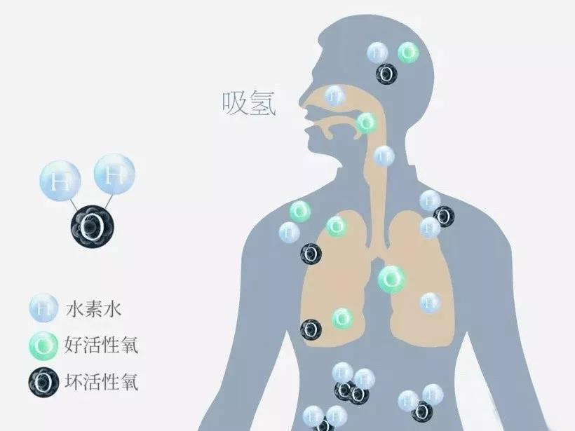 氢气用于人体安全无虞的7大证据了解一下！