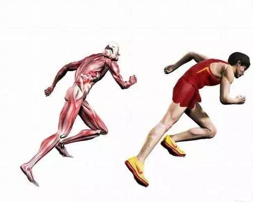 吸氢改善健康成年人的跑步表现和躯干力量！