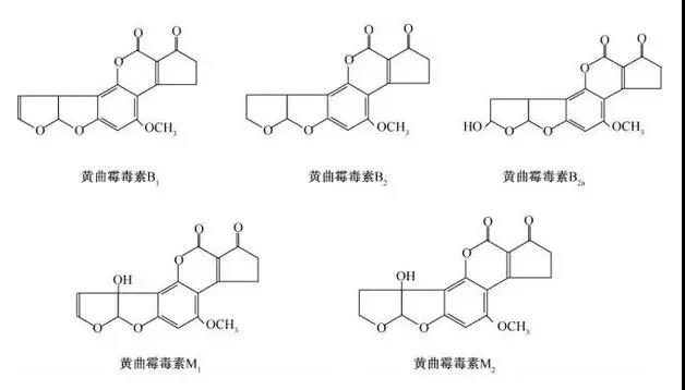 最毒致癌物，看氢水怎么收拾它！