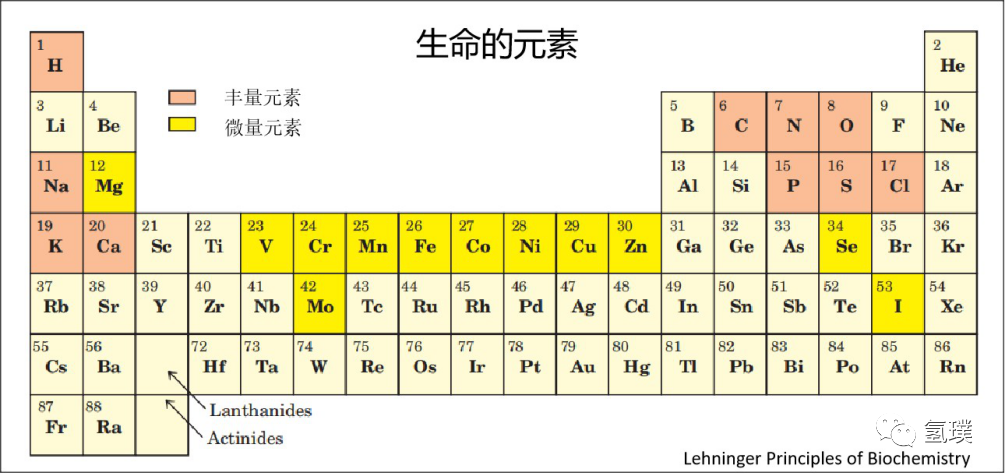 马雪梅教授谈氢气生物学机理（1）：生命中的氢元素