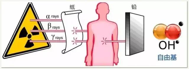 氢分子医学的改善原理与底层逻辑【转】