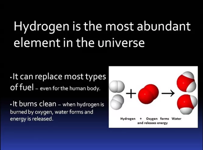 谁最早提出氢医学概念？
