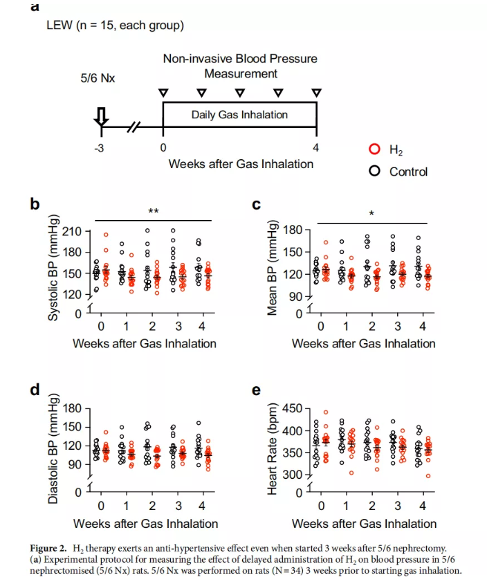 重点关注氢气改善高血压的研究