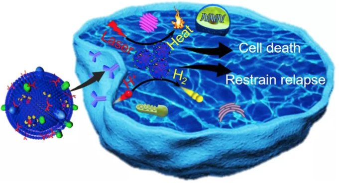 氢气光热疗纳米癌症药物【武大】