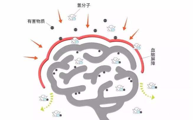 国产氢水助力毒瘾戒断反应试验