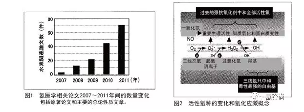 氢医学从基础到临床