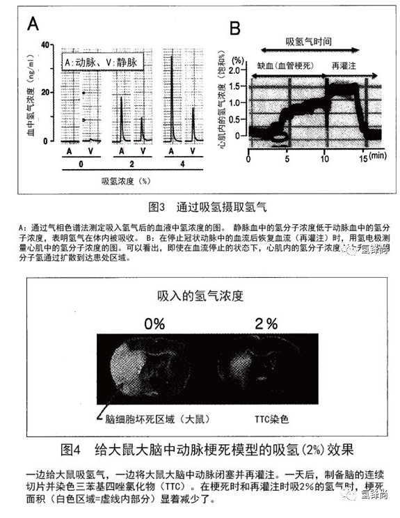 氢医学从基础到临床