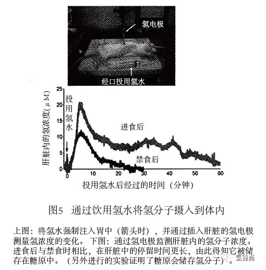 氢医学从基础到临床