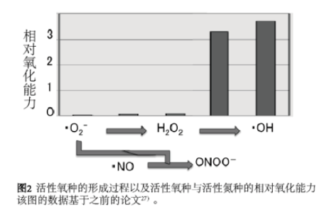 太田教授谈氢医学发现历史（1）