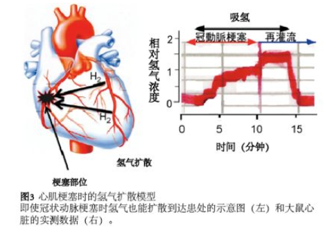 太田教授谈氢医学发现历史（1）