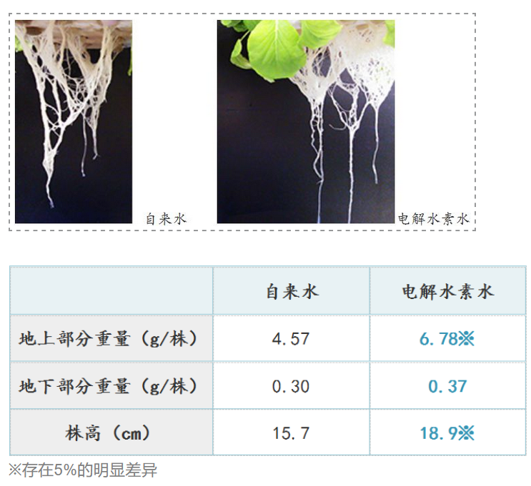 如何用电解水让农产品提质增产？日本是这样做的