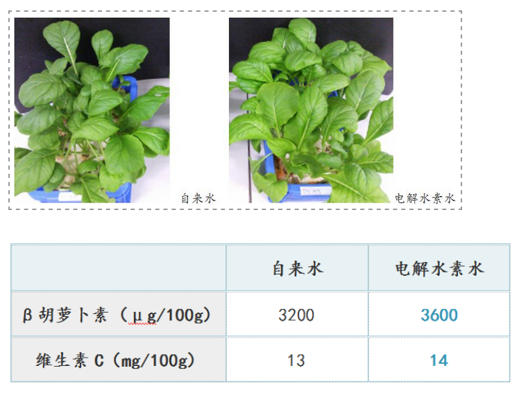 如何用电解水让农产品提质增产？日本是这样做的