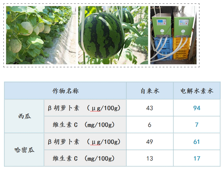 日本电解氢水的农业应用