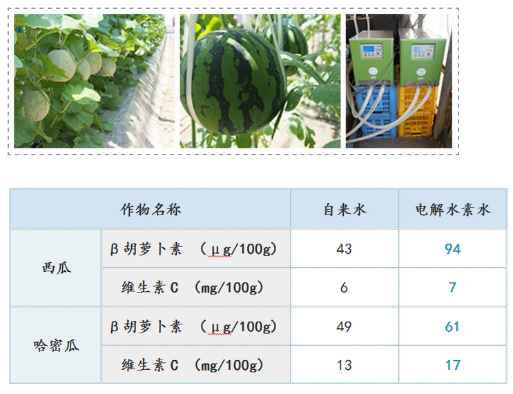 如何用电解水让农产品提质增产？日本是这样做的