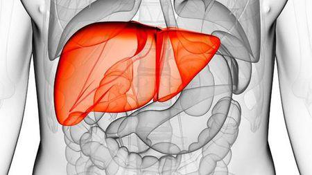 分子氢改善肝脏和肝功能