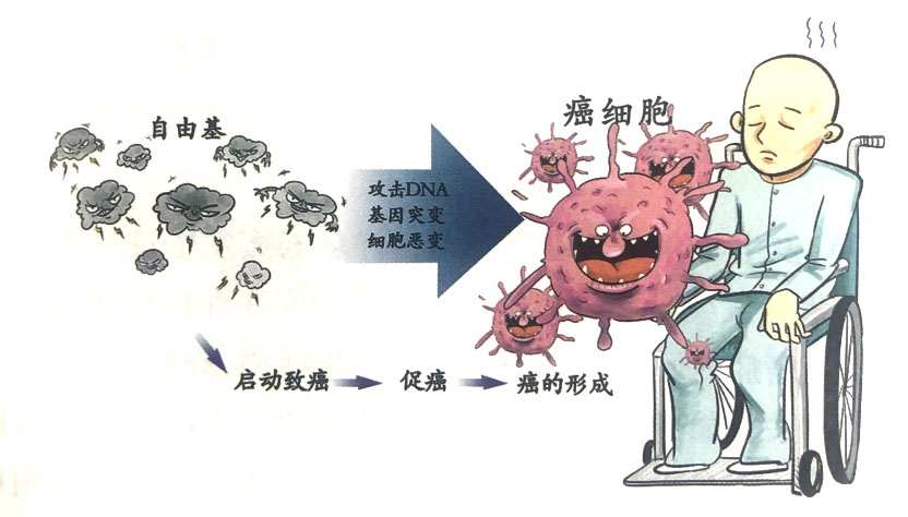 自由基引起癌症的机制