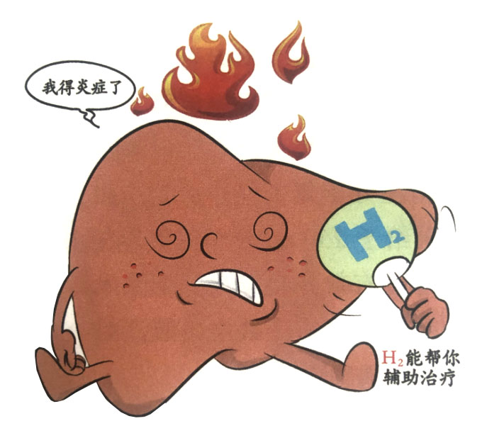 分子氢对肝脏的保护作用