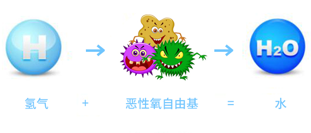 氢气通过诱导肝脏FGF21表达促进能量代谢治疗肥胖