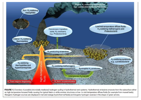 氢气是驱动海底热泉生物圈的原始能源