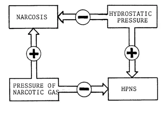 氢气安全性铁证：人类潜水试验
